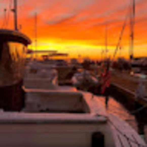 Meet your Posher, Ava - Picture 1 of 1